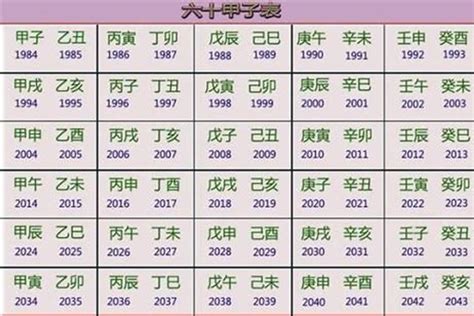 1987年五行属什么